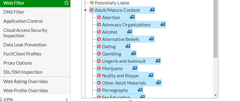 fortinet web filter categories description